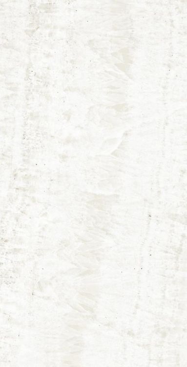 OL Onyx White Polished 12 x 24